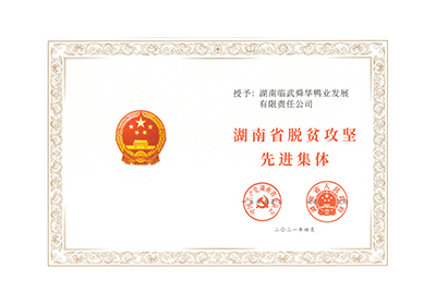 湖南省脫貧攻堅先進集體